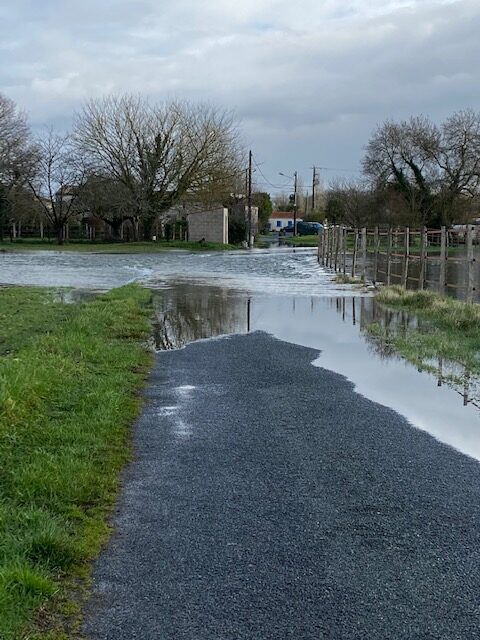 Chemin menant aux Monnereaux - inondations