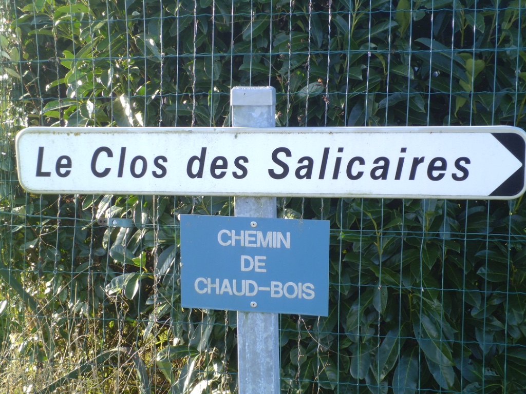 Le Clos des Salicaires - Le Mung