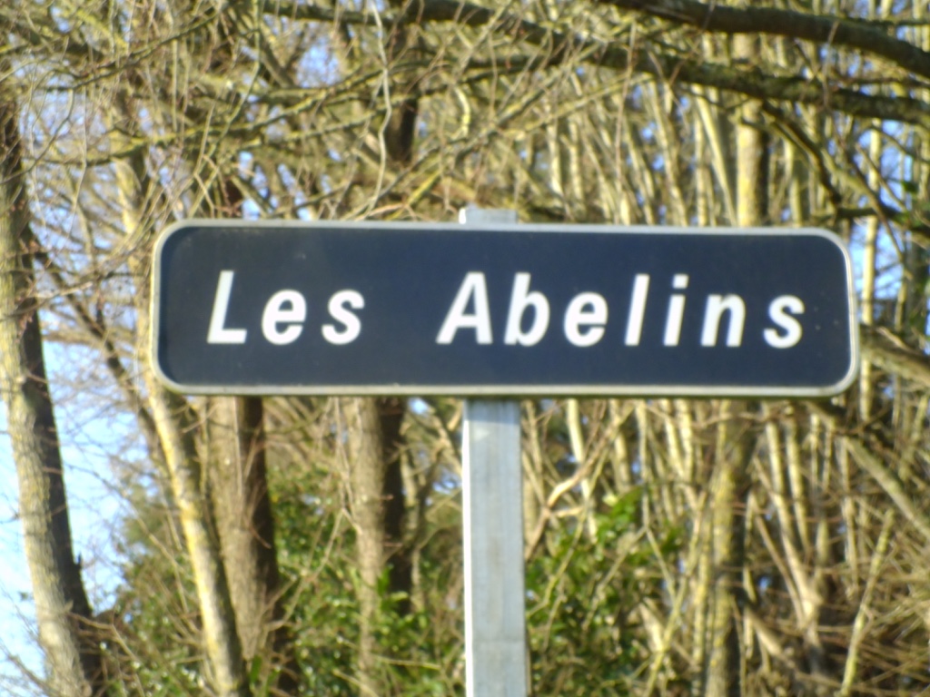 Les Abelins - Le Mung